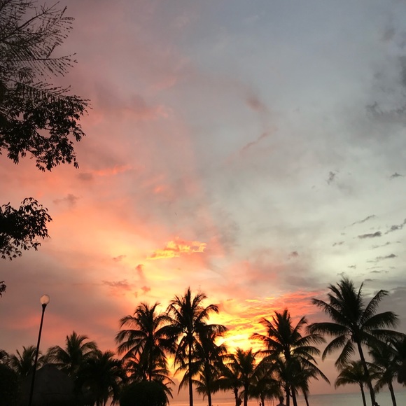 Meet the Posher Other - Meet your Posher, Dani